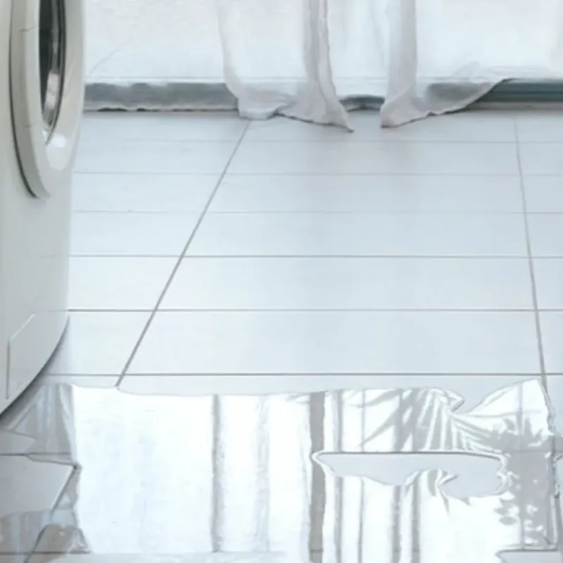 Appliance Leak Cleanup in Sherwood, OH