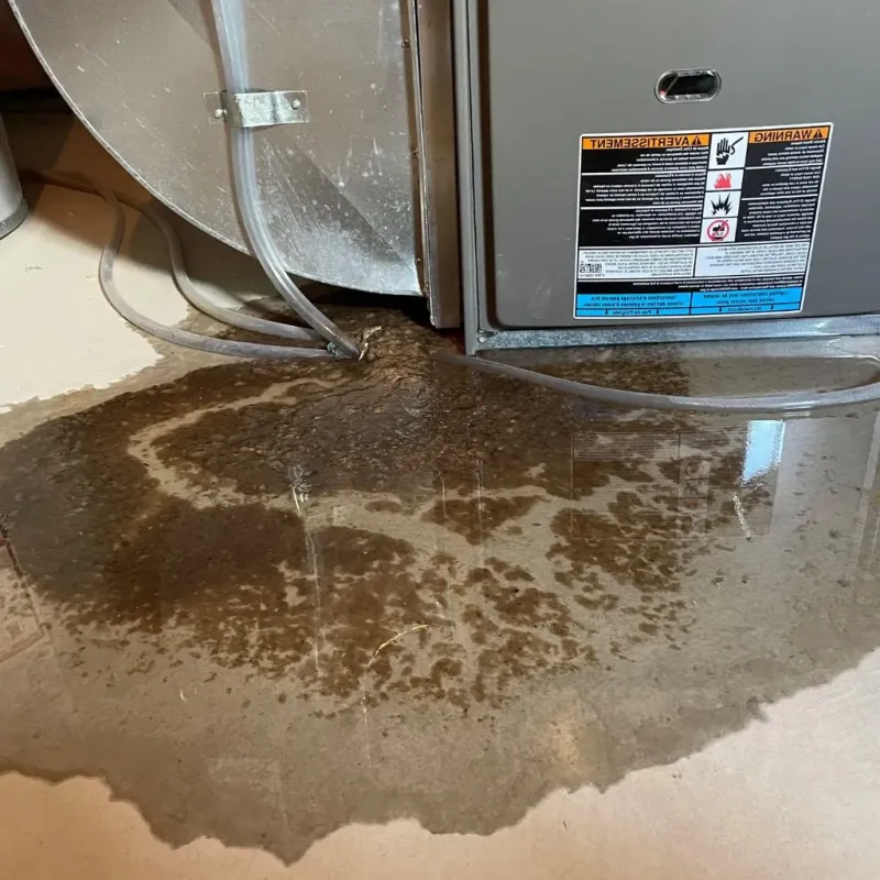Pipe Burst and Leak Restoration in Sherwood, OH
